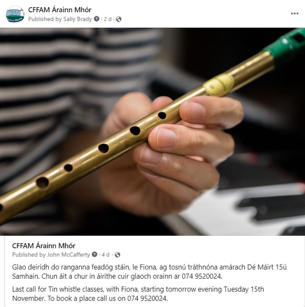 Tin Whistle Class