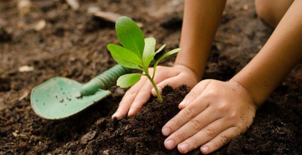 Gardening Class